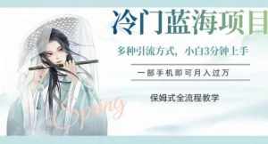 冷门蓝海项目，操作简单，小白3分钟上手，多种引流方式，保姆式全流程教学【揭秘】-泰戈创艺资源库