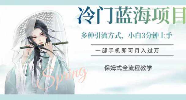 冷门蓝海项目，操作简单，小白3分钟上手，多种引流方式，保姆式全流程教学【揭秘】-泰戈创艺资源库