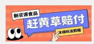 新资源食品赶黄草标签瑕疵打假赔付思路,光速下车,一单利润千+【详细玩法教程】【揭秘】-泰戈创艺资源库