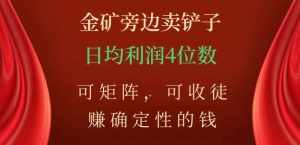 金矿旁边卖铲子，赚确定性的钱，可矩阵，可收徒，日均利润4位数【揭秘】-泰戈创艺资源库