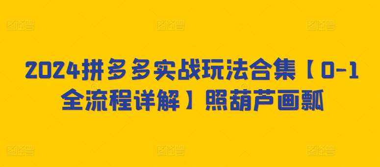 2024拼多多实战玩法合集【0-1全流程详解】照葫芦画瓢-泰戈创艺资源库