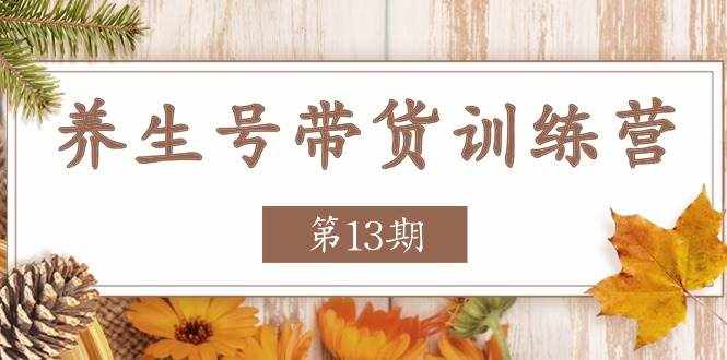 （11275期）养生号-带货训练营【第13期】收益更稳定的玩法，让你带货收益爆炸-泰戈创艺资源库