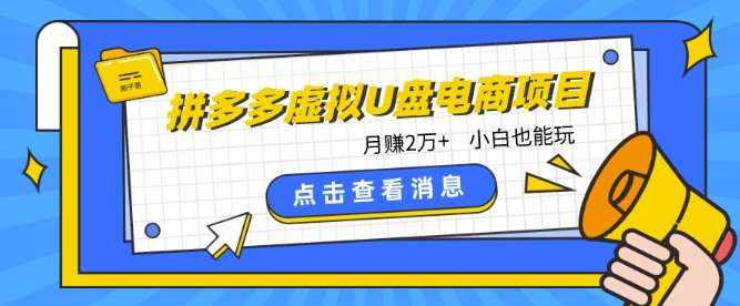 拼多多虚拟U盘电商红利项目：月赚2万+，新手小白也能玩-泰戈创艺资源库