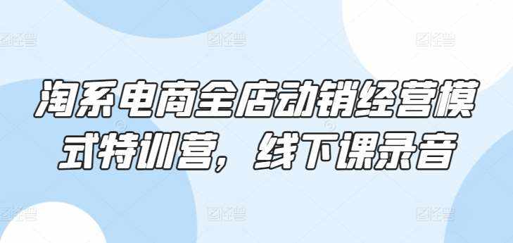 淘系电商全店动销经营模式特训营，线下课录音-泰戈创艺资源库