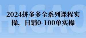2024拼多多全系列课程实操，日销0-100单实操【必看】-泰戈创艺资源库