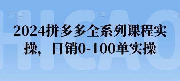 2024拼多多全系列课程实操，日销0-100单实操【必看】-泰戈创艺资源库