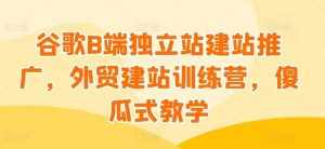 谷歌B端独立站建站推广,外贸建站训练营,傻瓜式教学-泰戈创艺资源库