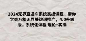 2024无界直通车系统实操课程,带你学会万相无界关键词推广,4.0升级版,系统化课程 理论+实操-泰戈创艺资源库