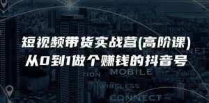 （11253期）短视频带货实战营(高阶课)，从0到1做个赚钱的抖音号（17节课）-泰戈创艺资源库