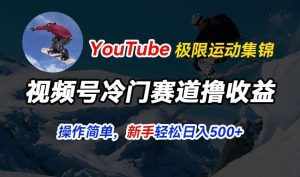 视频号冷门赛道撸收益,YouTube搬运极限运动集锦,暴力起号,操作简单流量高,轻松日入5张【揭秘】-泰戈创艺资源库