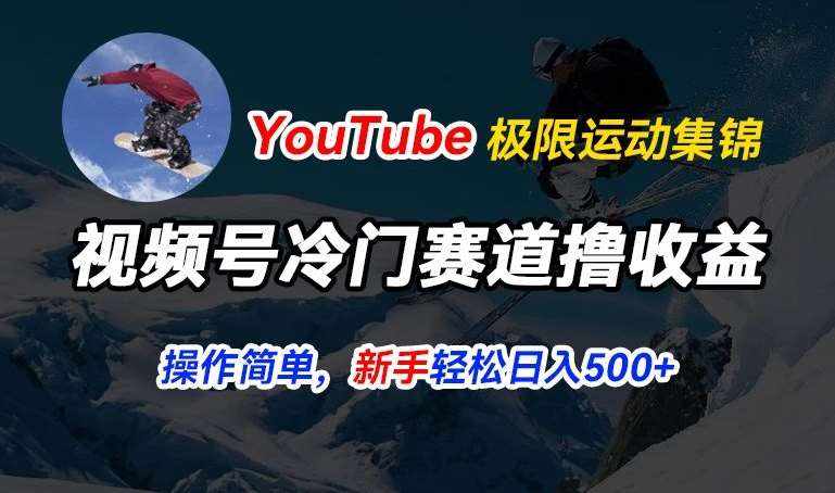 视频号冷门赛道撸收益，YouTube搬运极限运动集锦，暴力起号，操作简单流量高，轻松日入5张【揭秘】-泰戈创艺资源库