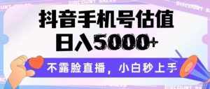 抖音手机号估值,日入5000+,不露脸直播,小白秒上手【揭秘】-泰戈创艺资源库