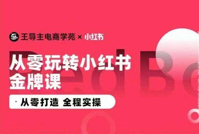 王导主·小红书电商运营实操课，​从零打造  全程实操-泰戈创艺资源库