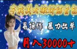 （11249期）车载美女撒娇语音包，执行就出单，月入3000＋，小白看完课程就能马上实操-泰戈创艺资源库