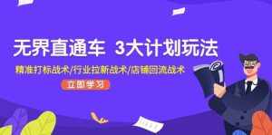 （11304期）无界直通车 3大计划玩法，精准打标战术/行业拉新战术/店铺回流战术-泰戈创艺资源库