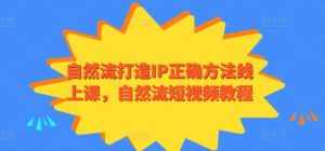 自然流打造IP正确方法线上课,自然流短视频教程-泰戈创艺资源库