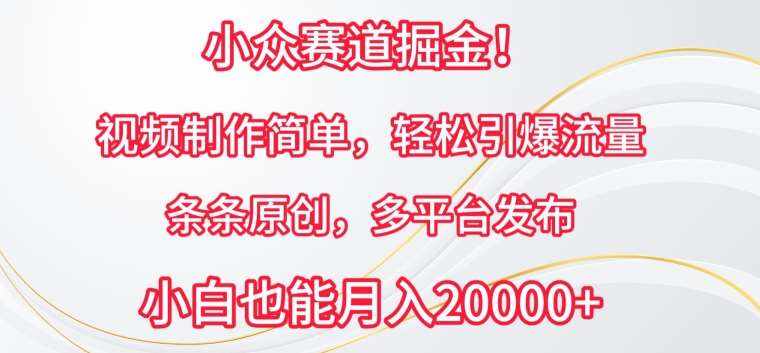 小众赛道掘金，视频制作简单，轻松引爆流量，条条原创，多平台发布【揭秘】-泰戈创艺资源库
