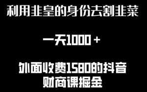 利用非皇的身份去割韭菜，一天1000+(附详细资源)【揭秘】-泰戈创艺资源库