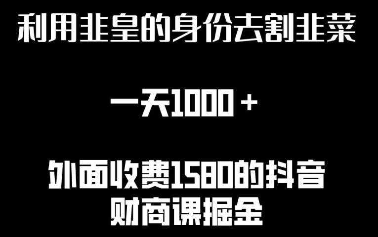 利用非皇的身份去割韭菜，一天1000+(附详细资源)【揭秘】-泰戈创艺资源库