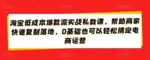 淘宝低成本爆款流实战私教课,帮助商家快速复制落地,0基础也可以轻松搞定电商运营-泰戈创艺资源库
