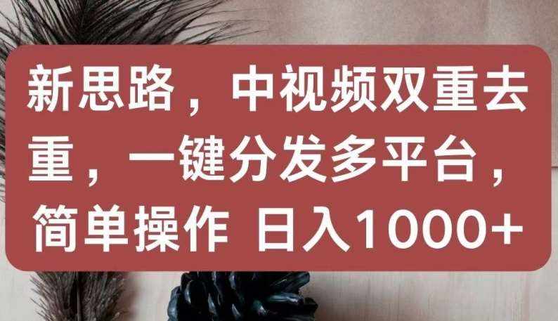 新思路，中视频双重去重，一键分发多平台，简单操作，日入1000+【揭秘】-泰戈创艺资源库