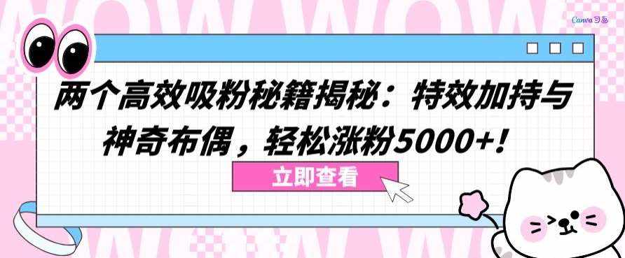 两个高效吸粉秘籍揭秘：特效加持与神奇布偶，轻松涨粉5000+【揭秘】-泰戈创艺资源库