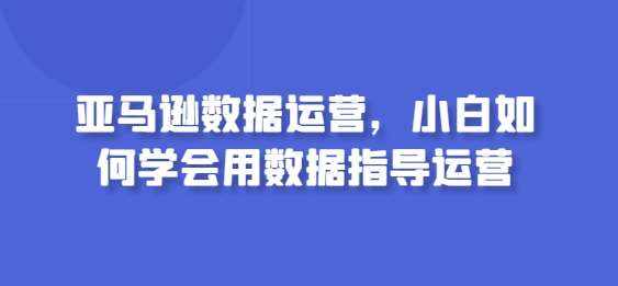 亚马逊数据运营，小白如何学会用数据指导运营-泰戈创艺资源库