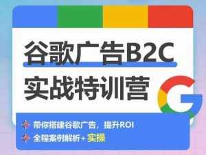 谷歌广告B2C实战特训营，500+谷歌账户总结经验，实战演示如何从0-1搭建广告账户-泰戈创艺资源库
