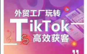 外贸工厂玩转TikTok高效获客，多种引流方式与账号定位技巧，拆解爆款短视频打造成功案例-泰戈创艺资源库