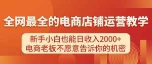 （11266期）电商店铺运营教学，新手小白也能日收入2000+，电商老板不愿意告诉你的机密-泰戈创艺资源库