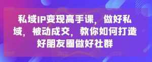 私域IP变现高手课，做好私域，被动成交，教你如何打造好朋友圈做好社群-泰戈创艺资源库