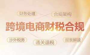 跨境老板财税合规特训营,规避财税风险、提升企业利润-泰戈创艺资源库