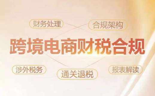 跨境老板财税合规特训营，规避财税风险、提升企业利润-泰戈创艺资源库