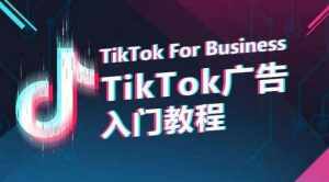TikTok广告入门教程,从0到1掌握TikTok投放的全流程-泰戈创艺资源库