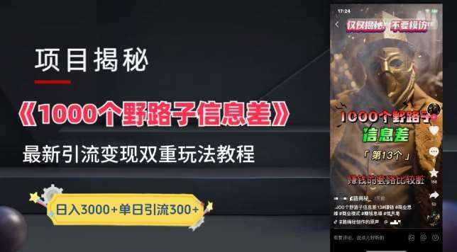一千个野路子信息差最新玩法教程-变现+引流的玩法具体拆解【揭秘】-泰戈创艺资源库