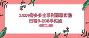 (11222期)2024拼多多全系列课程实操,日销0-100单实操【16节课】-泰戈创艺资源库