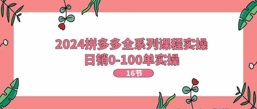（11222期）2024拼多多全系列课程实操，日销0-100单实操【16节课】-泰戈创艺资源库