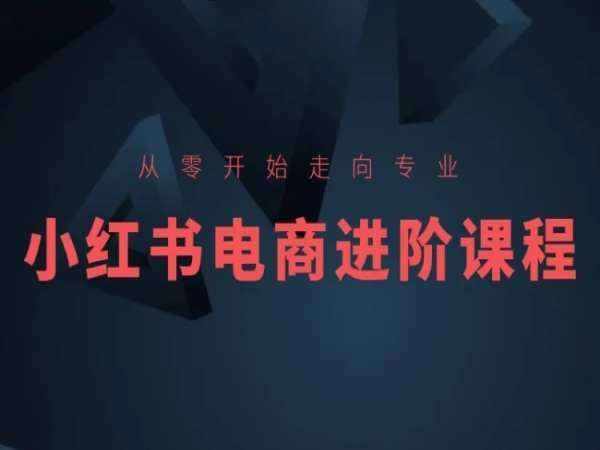 从零开始走向专业，小红书电商进阶课程-泰戈创艺资源库