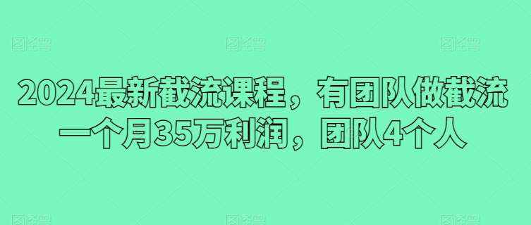 2024最新截流课程，有团队做截流一个月35万利润，团队4个人-泰戈创艺资源库