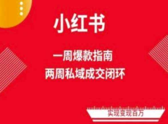 爆款小红书免费流量体系课程(两周变现),小红书电商教程-泰戈创艺资源库