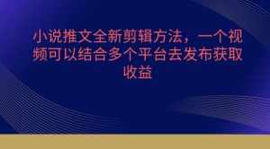 小说推文全新剪辑方法,一个视频可以结合多个平台去发布获取【揭秘】-泰戈创艺资源库