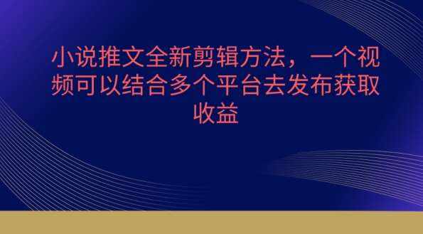 小说推文全新剪辑方法，一个视频可以结合多个平台去发布获取【揭秘】-泰戈创艺资源库