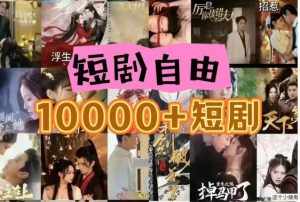 打造完全属于自己的个人短剧库，实现网盘拉新与私域变现的完美融合！-泰戈创艺资源库