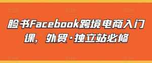 脸书Facebook跨境电商入门课，外贸·独立站必修-泰戈创艺资源库