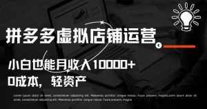 拼多多虚拟店铺运营小白也能月收入10000+【揭秘】-泰戈创艺资源库