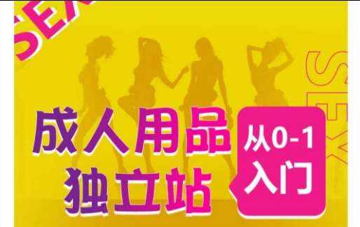 成人用品独立站从0-1入门,成品独立站运营全流程教学,七大好卖成品独立站推荐-泰戈创艺资源库