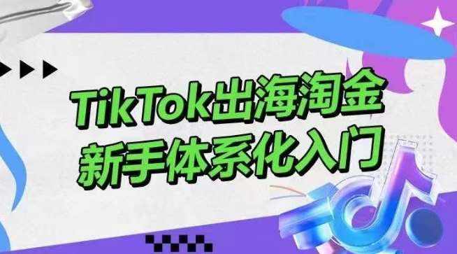 TikTok出海淘金，新手体系化入门，零基础快速入门，掌握短视频、直播带货等引流到变现的知识-泰戈创艺资源库