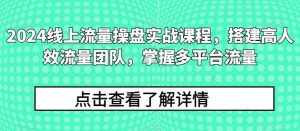 2024线上流量操盘实战课程,搭建高人效流量团队,掌握多平台流量-泰戈创艺资源库