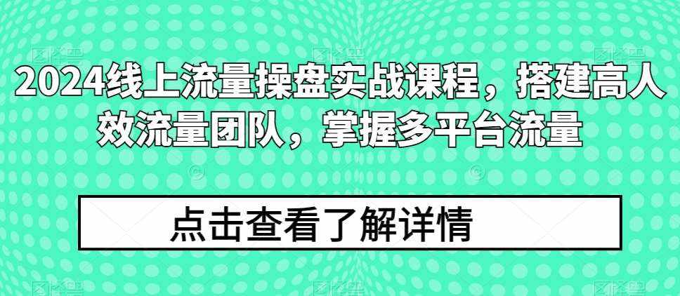 2024线上流量操盘实战课程，搭建高人效流量团队，掌握多平台流量-泰戈创艺资源库