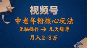（11288期）视频号火爆玩法，高端中老年粉核心打法，无脑操作，一天十分钟，月入两万-泰戈创艺资源库